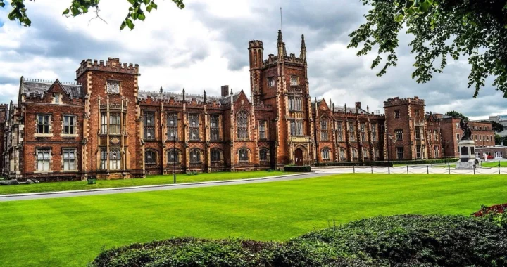 university
